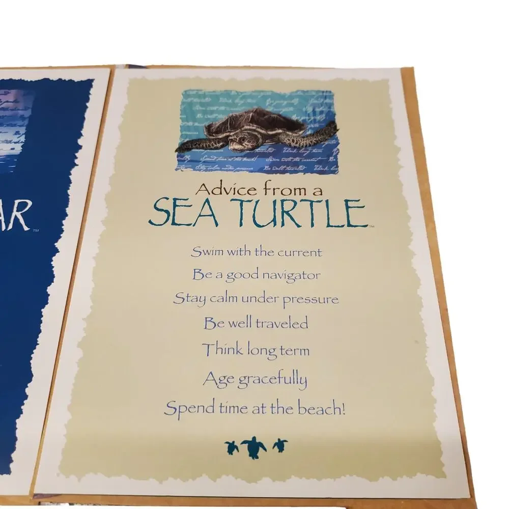 Your True Nature Animal Greeting Cards Polar Bear Sea Turtle Elephant Friends